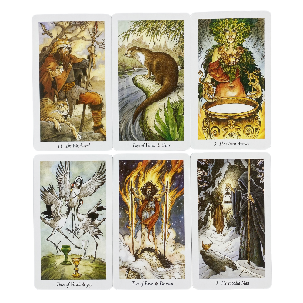 The Wild Wood Tarot Cards A 78 - Board Game Wild Wild のレビューと価格
